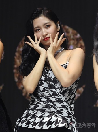 [전문] 트와이스 모모, 열애 인정 후 손편지 “조심스럽지만 소통하고파”