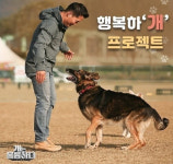 [전문] 강형욱 해명 “행복하개 프로젝트, 파양 미화NO”