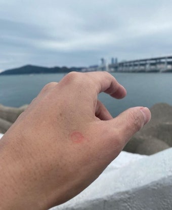 정우성·김의성·김지훈… 사전 투표 인증 “우리들의 미래 바꾸자”