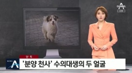 [종합] 유승호, 갑수목장 동물학대 논란에 일침 “동물, 돈벌이 수단 아냐”