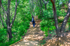 [김재범 기자의 투얼로지] “우리 집 근처에 이런 곳이…”, 도심 여름휴양지 서울 동네 뒷산