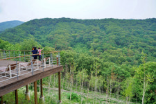 [김재범 기자의 투얼로지] 숲속 명상·트레킹…몸과 마음 힐링하세요