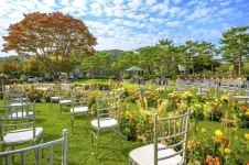 “리조트 묵으면서 스몰웨딩을”, 소노호텔&리조트 ‘데스티네이션 웨딩’ 리뉴얼