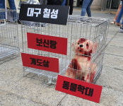 전국 유일의 개시장 ‘대구 칠성 개시장’ 문 닫을까
