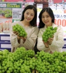 롯데마트 “샤인머스켓 먹고 영천 농가 도와요”