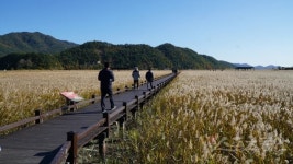 수원화성·하회마을·순천만습지…‘한국관광 100선’ 5회 연속 선정