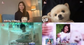 [종합] ‘동물농장’ 김수민 아나운서, 미대 재원→반려견♥
