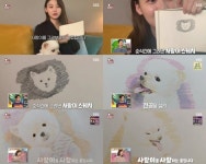 [종합] ‘동물농장’ 김수민 아나운서, 미대 재원→반려견♥