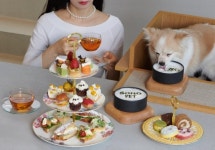 “반려동물과 함께 호텔서 애프터눈 티를 즐겨요“