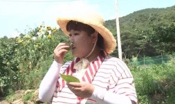 김민경, 폭염에 땀 뻘뻘…텃밭 구출 작전 (나혼산)