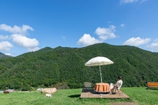 산양목장, 철도테마파크…청정도시 태백의 새 핫 스팟은 여기