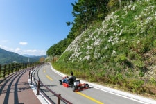 산양목장, 철도테마파크…청정도시 태백의 새 핫 스팟은 여기