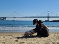 펫츠고트래블, 반려동물 동반여행 서비스 부산지역 실시