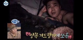 전현무 상의탈의 인증→리얼 개소리, 초토화 [TV체크]