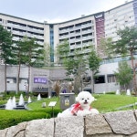 하이원리조트, ‘하이원 펫클럽‘ 개장 기념 견생샷 이벤트