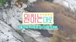 ‘9세 연하 남편♥’ 최지우 가사·육아 해방감 때문? 활짝 (원하는대로)
