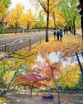 “우리 동네에 이런 곳이…”, 서울의 단풍 명소는 이곳 [투얼로지]