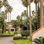 수리남서 화제 모은 황정민 저택, 서귀포 카페 ‘SNS 인증샷’ 명소 [원픽! 핫 플레이스]