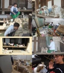 토니안, 노령의 시츄 대가족 펫시터로 하동가다 (TV 동물농장)