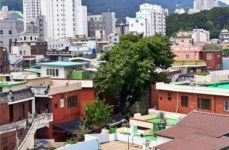 부산시, 사업비 50억원 투입해 시내 22곳에 도시숲 조성