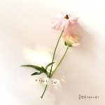 ‘오열 창법 X’ 바이브 윤민수, 1년 만의 신곡 ‘이따 해’ 발매