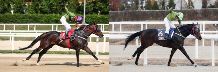 라온 자매, ‘뚝섬배’처럼 라온가 명성 빛낼까?