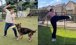 반려동물과 함께 태권…‘원조 개통령’도 동참