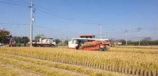 김해시, 공공비축미곡 2979t 매입 추진