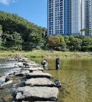성남시 탄천에서… 1급수에만 서식하는 ‘버들치’ 발견