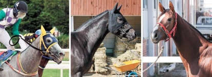 챔피언 후보 ‘라라케이·세광파이터·원평리스트’을 주목하라