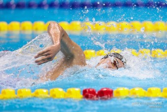 김우민, 세계수영선수권 자유형 400m 티켓 확보