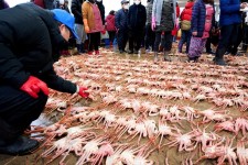 전국구 별미와 눈 시리도록 쨍한 바다, 지금 울진으로 가야할 이유 [투얼로지]