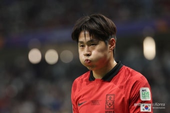 손흥민-이강인 불화 흘려 비난 돌리기?…음모론까지 등장