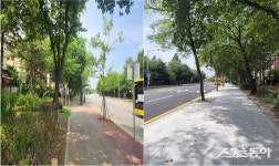 고양시, 걷기 편리한 보도 조성