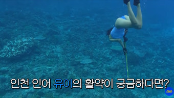 유이, 인어 그 자체…남태평양서 프리 다이빙 대단 (정글밥)
