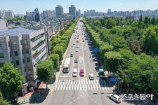 인천 부평구 양버즘나무길, ‘우수 관리 가로수길’ 선정