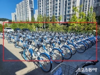 세종시, 어울링 자전거 늘리고 도로 정비