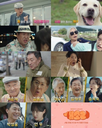 ‘갑질 나락’ 이순재, 거제도서 유쾌하게 지내는 중…소피와 공조 예고 (개소리)