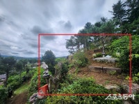 ‘애완동물 주인’들 속였다?… 가평군 펫밀리, 반려동물 수목장 ‘불법’ 투성이