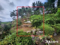 ‘애완동물 주인’들 속였다?… 가평군 펫밀리, 반려동물 수목장 ‘불법’ 투성이