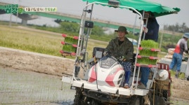 이장우, 배우 은퇴하고 귀농? 1200평 땅 농사 근황 (시골마을 이장우)