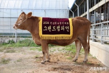 경북도 지자체 평가 종합우승…6개 부문 중 4개 부문 수상