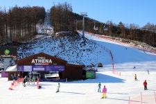 슬로프부터 애프터 스키까지…하이원 명품 겨울 리조트로 도약 준비