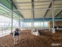 경기도 ‘가축행복농장 인증제’ 2025년 신규 접수