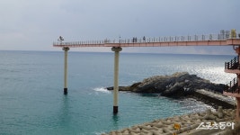 [투얼로지]‘맛잘알’이 제일 신나는 순간…겨울 진미 즐기러 울진으로