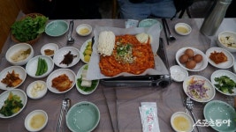 [투얼로지]점점 흩어진 다도해 섬과 봄꽃 맞이 나들이…해남 봄여행