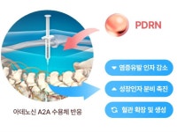 “연어 DNA 활용” 자생한방병원 제노큐어와 PDRN성분 약침 연구 협력
