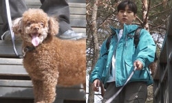 이주승, ‘8kg’ 코코 다이어트 위해 동반 등산 (나혼자산다)