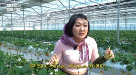이수지, 교포소녀 제니 빙의! 농장→무대→막걸리까지 풀코스 대공개