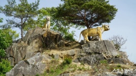 [투얼로지]수더분하지만 깊은 멋, 봄날 봉화와 영주 나들이